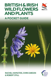 British & Irish Wild Flowers & Plants