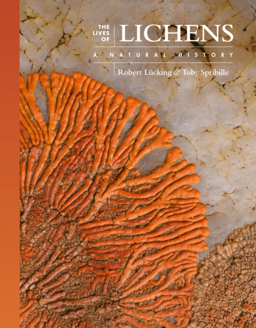 Lives Of Lichens A Natural History By Lucking, Robert