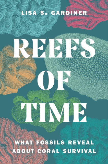 Reefs Of Time