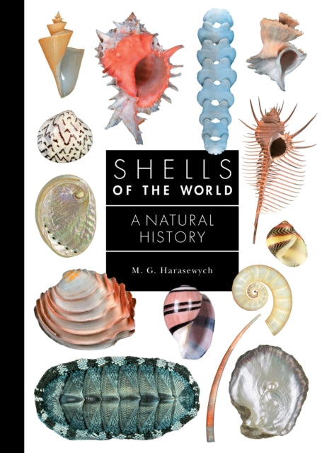 Shells Of The World