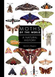 Moths Of The World A Natural History By Wagner, David