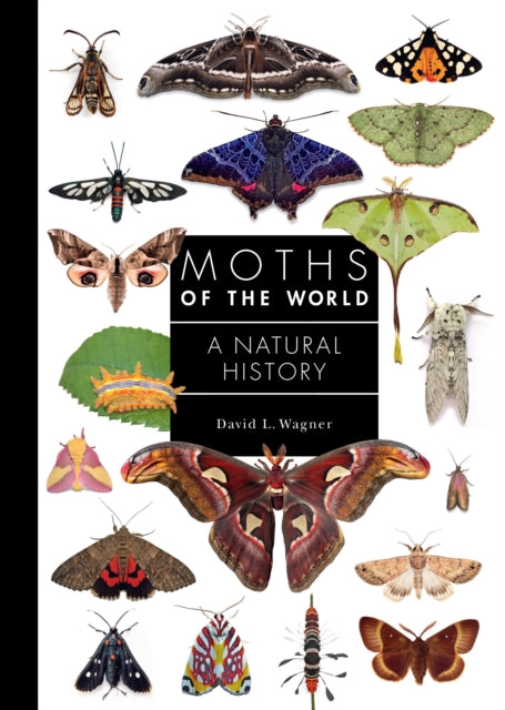 Moths Of The World A Natural History By Wagner, David