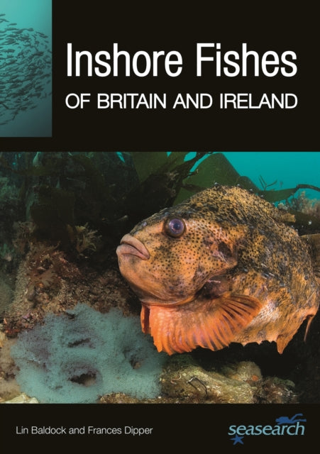Inshore Fishes Of Britain & Ireland