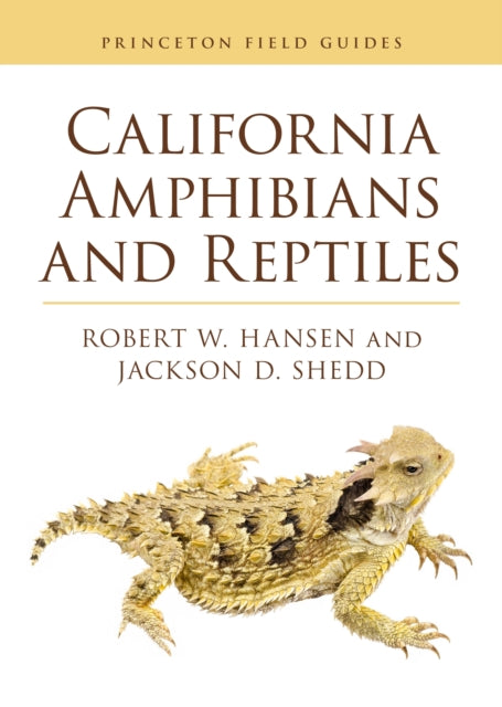 California Amphibians And Reptiles
