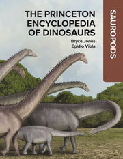 Sauropods