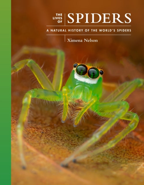 Lives Of Spiders By Nelson, Ximena