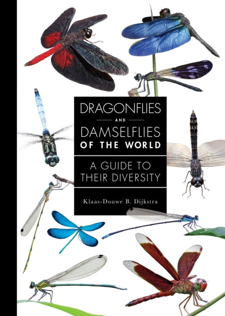 Dragonflies And Damselflies Of The Worl