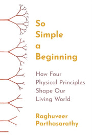 So Simple A Beginning