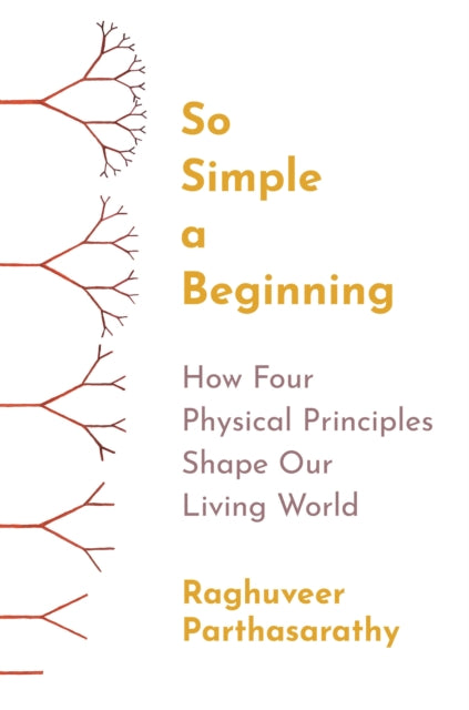 So Simple A Beginning