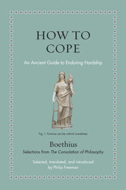 How To Endure Hardship An Ancient Guide