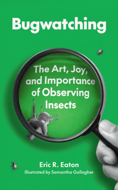 Bugwatching: The Art Joy And Importance