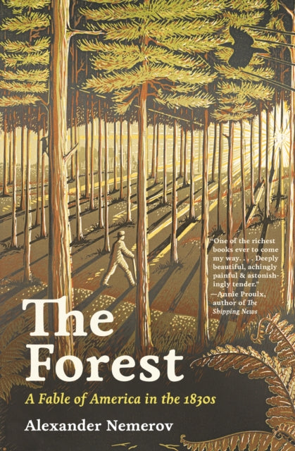 Forest A Fable Of America In The 1830s