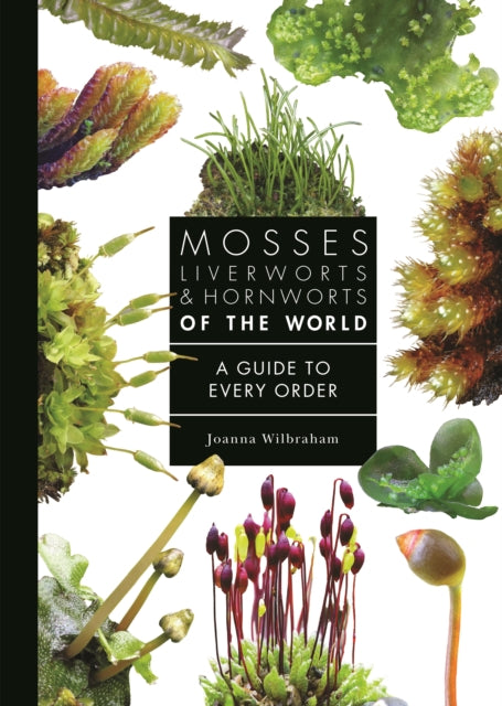 Mosses Liverworts And Hornworts Of Th By Wilbraham, Joanna