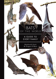 Bats Of The World