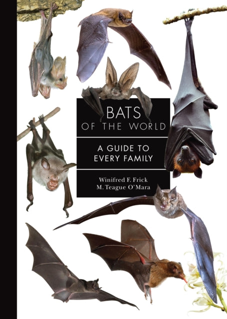 Bats Of The World