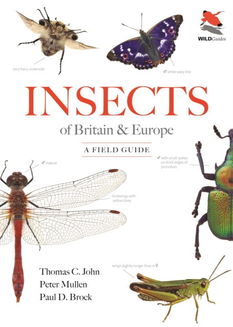 Insects Of Britain & Europe Field Guide By Brock, Paul D