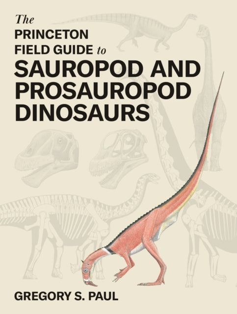Princeton Field Gde/prosauropod Dinosaur
