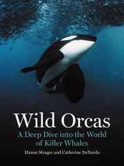 Wild Orcas A Deep Dive Into The World O By Strager, Hanne