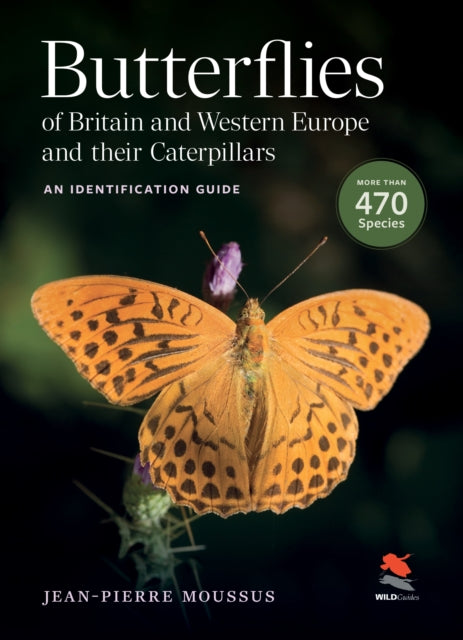 Butterflies Of Britain & Western Europe