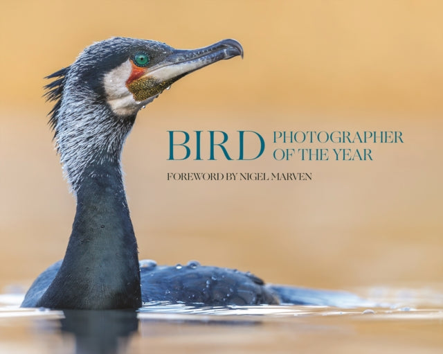 Bird Photographer Of The Year: 10 By Bird Photographer