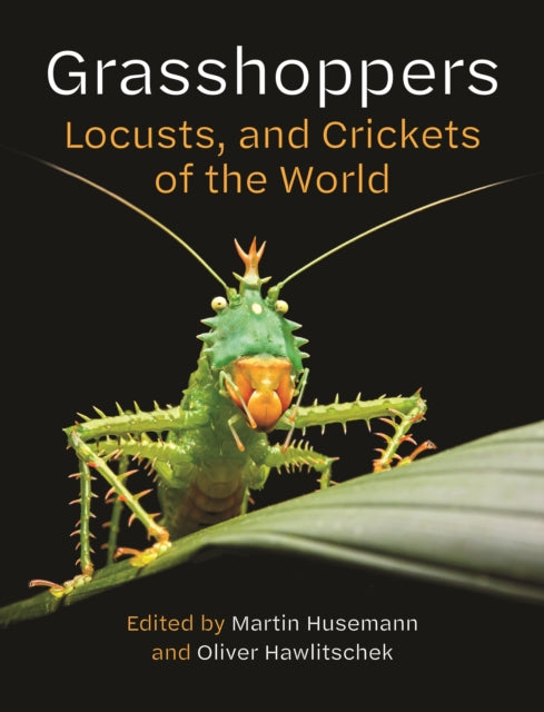 Grasshoppers Locusts/crickets Of The Wor