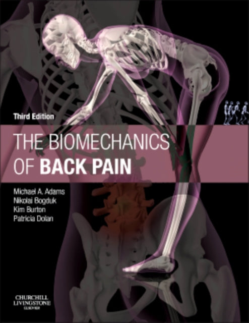 Biomechanics Of Back Pain