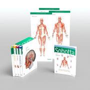 Sobotta Atlas Of Human Anatomy Package By Friedrich Paulsen