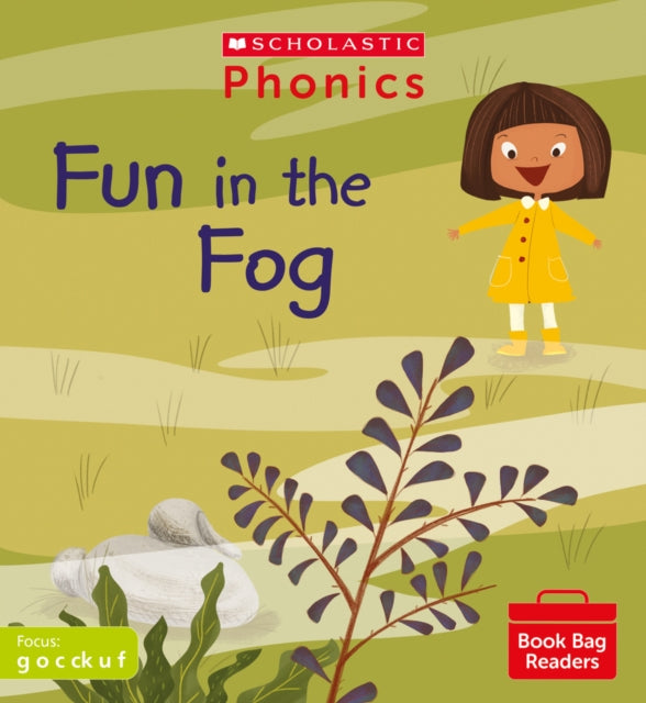 Pbbr Fun In The Fog 2