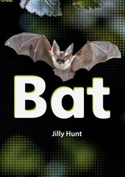 Bat