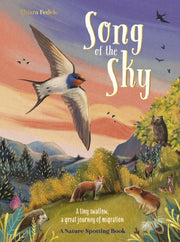 Song Of The Sky By Fedele, Chiara