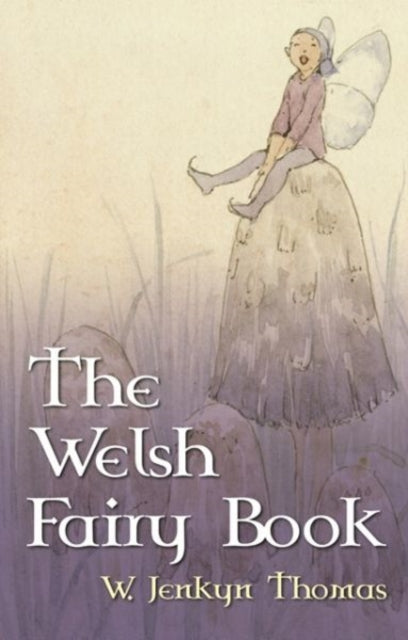 Welsh Fairy Book By Thomas, W.jenkyn