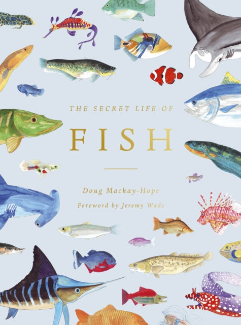 Secret Life Of Fish