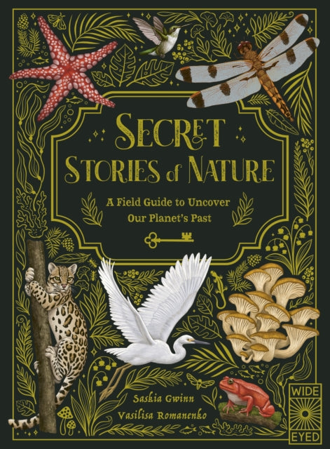 Secret Stories Of Nature By Gwinn, Saskia