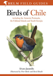 Fg Birds Of Chile Fg