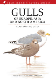 Gulls Of Europe North America & Asia By Olsen, Klus Malling