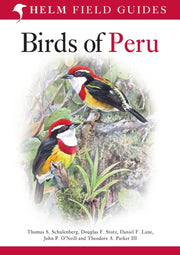 Birds Of Peru