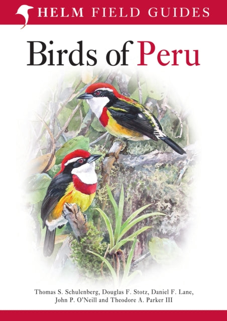 Birds Of Peru