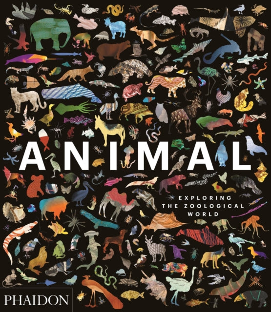 Animal Exploring The Zoological World