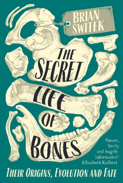 Secret Life Of Bones