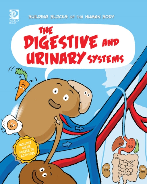 Digestive & Urinary Systems By Midthun, Joseph
