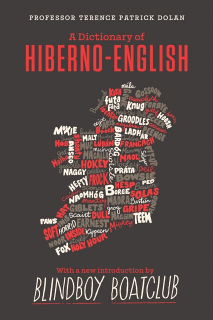 Dictionary Of Hiberno English