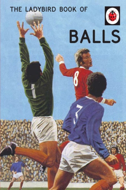 Ladybird Book Of Balls