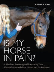 Is My Horse In Pain