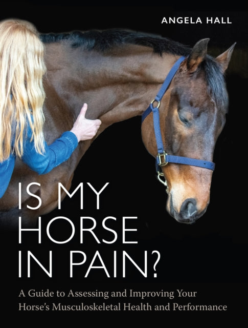 Is My Horse In Pain