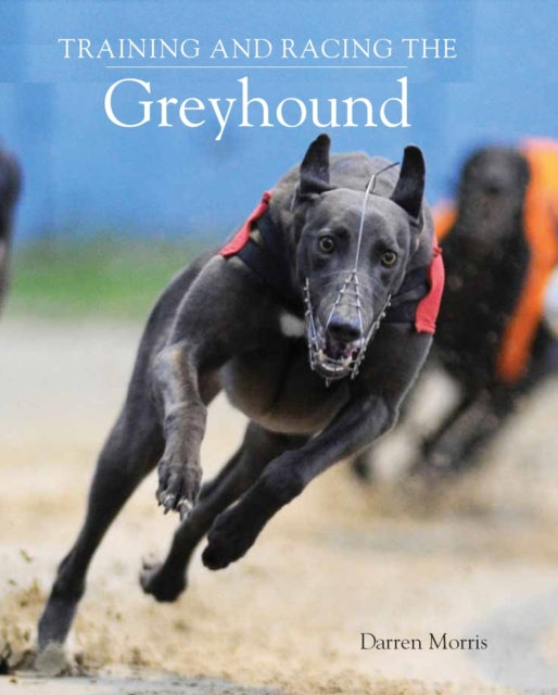 Training & Racing The Greyhound