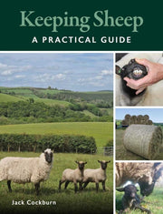 Keeping Sheep