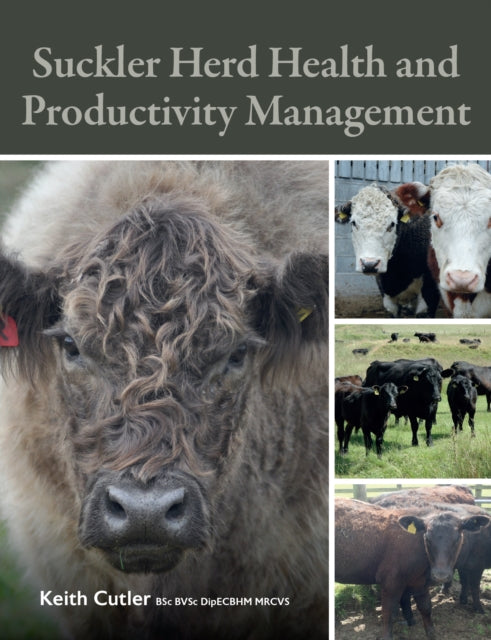 Suckler Herd Health & Productivity Manag