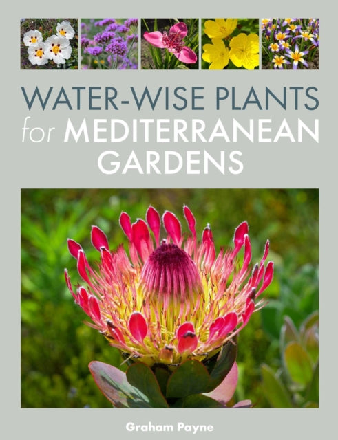 Waterwise Plants For Mediterranean Garde