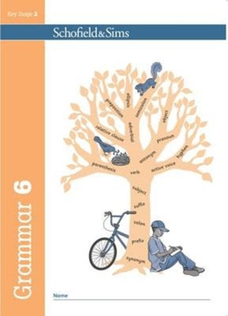 Grammar & Punctuation Pupil Book 6