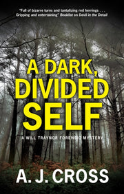 Dark Divided Self